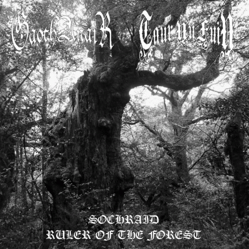 Gaoth Anair : Sochraid - Ruler of the Forest